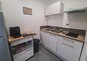 A kitchen or kitchenette at Appart Saint Cyprien + Parking privatif