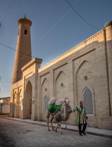 Fotografie z fotogalerie ubytování New Star Boutique hotel - madrasah Muhammad Mahram 1903 v destinaci Chiva