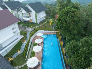 Sprise Munnar Resort and Spa في مونار: اطلالة جوية على مسبح مع مظلات