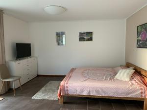 um quarto com uma cama e uma televisão em Wohlfühl-Apartment em Ettlingen