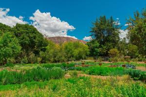 un jardin planté de fleurs et d'arbres dans l'établissement Tambo del Inka, a Luxury Collection Resort & Spa, Valle Sagrado, à Urubamba