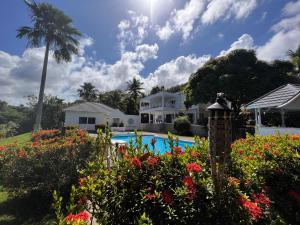 een uitzicht op een huis en een zwembad met bloemen bij All Nations Guest House in Port Antonio