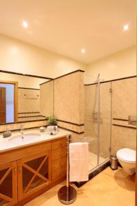 a bathroom with a shower and a sink and a toilet at Apartamentos Villa T2 Vila Sagres in Sagres