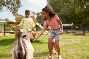 Barn som bor på RCN Vakantiepark de Noordster