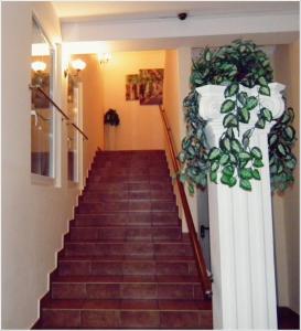 a stairway with a bunch of plants on it at Villa Bella Casa in Łomianki