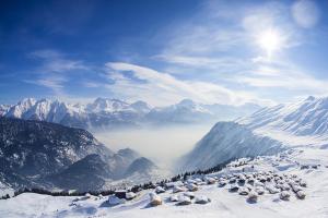 grupa zwierząt w śniegu na górze w obiekcie Hotel Harmony Tigilou Belalp w mieście Belalp