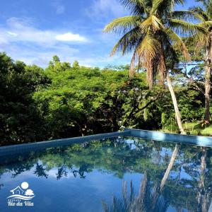 une piscine avec un palmier en arrière-plan dans l'établissement Pousada Rio da Vila, à Porto Seguro