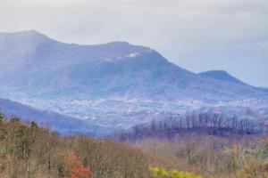 セバービルにあるRustic Cabinの木々と市街の山の景色