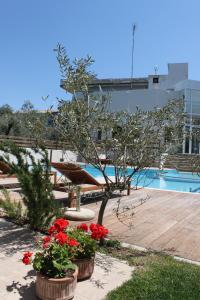 The swimming pool at or close to Alkistis Hotel