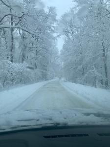 西斯纳迪奥拉Cabanele Sașilor的雪覆盖 道路上有雪覆盖的树木