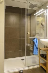 a shower with a glass door next to a sink at Ferienwohnung Radebeul Gerlach in Radebeul