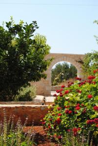 une arche dans un jardin avec des fleurs rouges dans l'établissement Pirgoi Edem, à Pirgos Dhirou