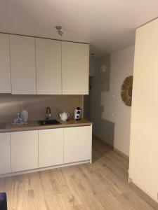 E&K apartamentai su šildomu baseinu kieme 주방 또는 간이 주방