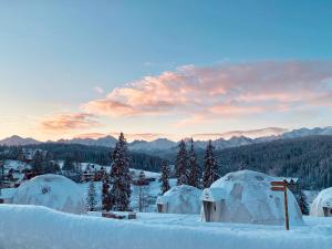 ブコビナ・タトシャンスカにあるTatra Glamp Bukowina Tatrzańska - Sieć noclegowa Tatra Glampの雪中の山々の集団