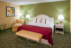 Holiday Inn Chantilly-Dulles Expo Airport, an IHG Hotel في شانتيلي: غرفة فندقية بسرير كبير وكرسي