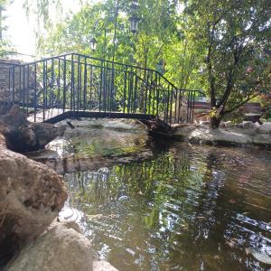 Un paisaje natural cerca del hotel cápsula