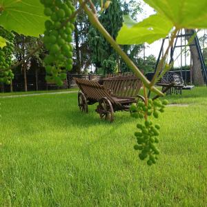 Un jardín fuera de Włostowicka Ostoja