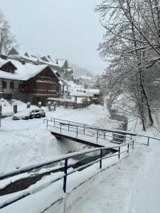 Domek nad Kryniczanką talvel