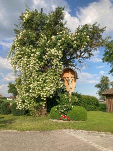 Сад в Bauernhofpension Herzog zu Laah