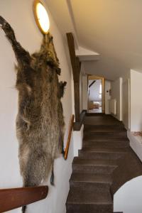 ein ausgestopftes Tier, das an einer Wand neben einer Treppe hängt in der Unterkunft Penzion U Hejtmana in Klatovy