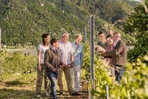 a group of people standing in front of a vineyard at Gästehaus Turm Wachau in Weissenkirchen in der Wachau