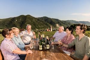 a group of people sitting around a table with wine bottles at Gästehaus Turm Wachau in Weissenkirchen in der Wachau