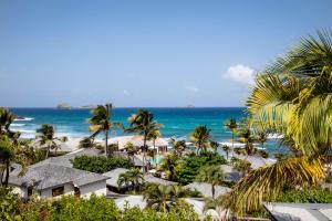 een uitzicht op een strand met palmbomen en de oceaan bij Hotel Manapany in Gustavia