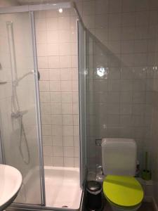 a bathroom with a shower and a toilet with a green seat at Les Lumerettes - Dohan in Bouillon