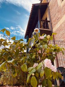 einen Busch mit rosa Rosen vor einem Gebäude in der Unterkunft El Tejo de Comillas in Comillas