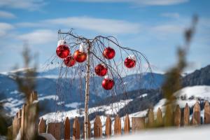 a tree with red balls on it in front of a fence at Apartment Mittermanting in Villnoss