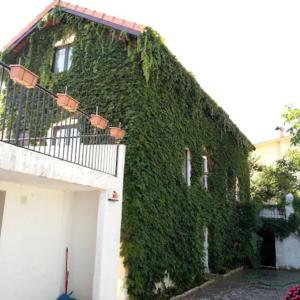 een gebouw bedekt met groene klimop naast een garage bij Casa Agrícola Do Limonete in Figueira da Foz