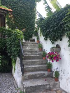 een trap met planten en bloemen bij Casa Agrícola Do Limonete in Figueira da Foz