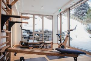 Fitness centrum a/nebo fitness zařízení v ubytování Hotel Weissenstein