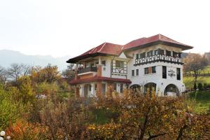 uma casa grande no topo de uma colina em Conacul Bratescu em Bran