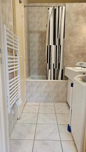 a bathroom with a shower and a sink at Studio calme proche centre in Reims