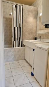 a bathroom with a sink and a toilet and a shower at Studio calme proche centre in Reims