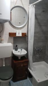 y baño con lavabo, aseo y espejo. en Apartman Barbara, en Daruvar