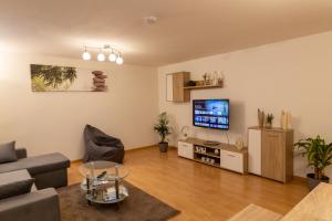 a living room with a couch and a tv at Ferienwohnung am Bach in Oberkotzau