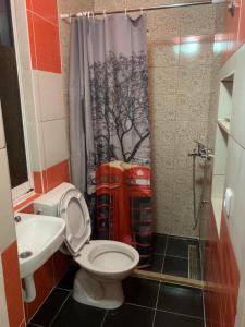 uma casa de banho com um WC e uma cortina de chuveiro em Positive apartmant em Podgorica