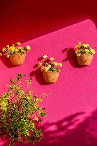 tre cupcake su una superficie rosa con dei fiori dentro di Vila Graciosa - Tranquility Oasis a Lagos