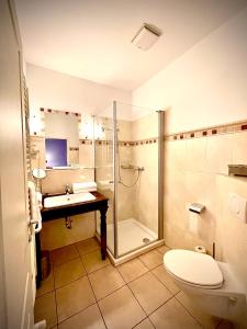 a bathroom with a shower and a toilet and a sink at Hotel zur Römerbrücke in Neuwied