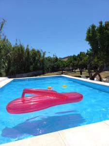 a red frisbee in a swimming pool at Quinta da Ponte das Hortas 1 in Elvas