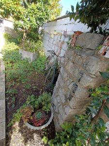 Um jardim em Casa da Avó do Puto