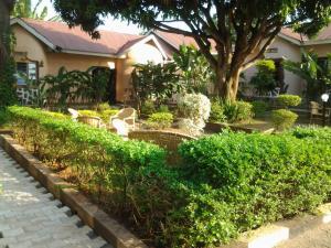 Um jardim no exterior de Gorilla African Guest House