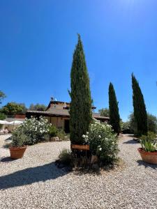 Jardí fora de Casale Terre Rosse Garden