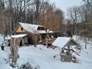 Country house with a pool in Medvednica Nature Park през зимата