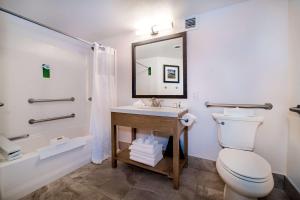 Bathroom sa Holiday Inn Estes Park, an IHG Hotel