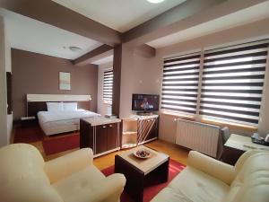 TV i/ili multimedijalni sistem u objektu Premier Hotel