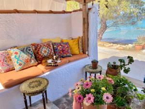 a cat laying on a couch on a patio at The Beachhouse Apartments in Vaia