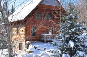 Objekt RCNT Chalets Mont-Tremblant zimi